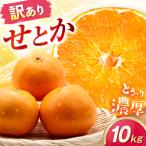 みかん 訳あり せとか 約10kg