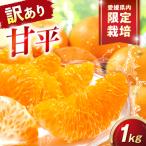みかん 訳あり 甘平 サイズ不揃い 約1kg