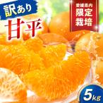みかん 訳あり 甘平 サイズ不揃い 約5kg