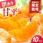 みかん 訳あり 甘平 サイズ不揃い 約10kg