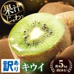 キウイ 訳あり ヘイワード サイズ不揃い 約5kg