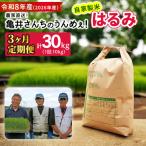 新米 伊勢原産 精米10kg 5kg×2袋