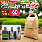 新米 伊勢原産 精米10kg 5kg×2袋