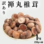 禅丸椎茸 1kg