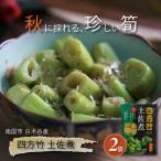 四方竹 土佐煮 200g