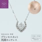 PT900プリンセスカット馬蹄ネックレスR712-2