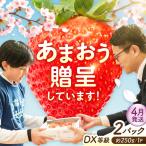 あまおうDX等級 1ケース 約250g×2パック