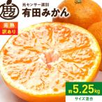 完熟有田みかん約5kg+250g 傷み補償分