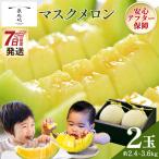 メロン 2玉入り