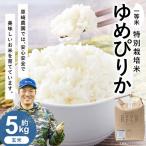 一等米 特別栽培米 5kg