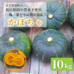 fu.... налог [.. мука качество серия ] тыква (10kg) культивирование период средний пестициды, животное ... и т.п. не использование /...... Country [1732217] Iwate префектура .. город 