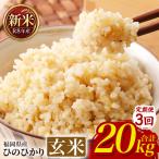 ひのひかり 米 お米 白米 20kg