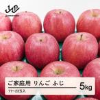 りんご ふじりんご ご 5kg