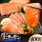 いっちゃんええ 生サーモン 全て手作業 約400g_FJ1000