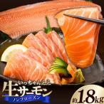 いっちゃんええ 生サーモン 全て手作業 半身