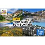 トレッキング体験 湯元凌雲閣 安政火口 十勝岳