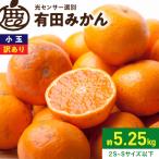 小玉な有田みかん約5kg+250g 傷み補償分