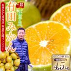 有田みかん専門店 有田の太陽®ファミリー