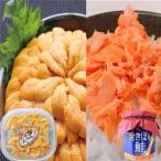 fu.... налог ezo морской еж hemicentrotus соль вода упаковка примерно 60~70g×1P* жарение ... лосось 100g×1 бутылка [10 месяц последняя декада после отправка ] A-71056 Hokkaido корень . город 