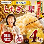 産とちぎの星 4kg
