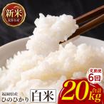 ひのひかり 米 お米 白米 20kg