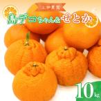 先行受付 2027年2月下旬~発送 はるか 約10kg
