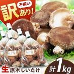 不揃い 原木しいたけ 1kg