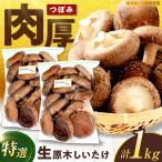 生しいたけ つぼみ 1kg