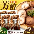 生しいたけ ひらき 2kg