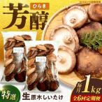 生しいたけ ひらき 1kg