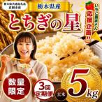 産とちぎの星 5kg