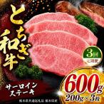 牛肉 サーロインステーキ 200g×3P
