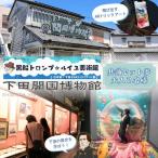 チケット 下田開国 博物館 黒船トロンプ ルイユ