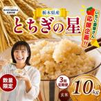 産とちぎの星 10kg