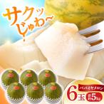 パパイヤメロン 6玉