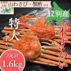 35-58 本ずわいがに姿 2尾