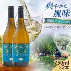 ソーヴィニヨンブラン 2本
