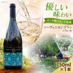 ソーヴィニヨンブランバレル 1本