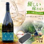 ソーヴィニヨンブランバレル 1本