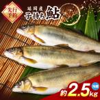 子持ち鮎約2.5kg N070-YC425-2