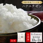ハナエチゼン 精米 20kg