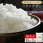 ハナエチゼン 精米 20kg