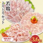 若鶏 よりどり セット 合計3.6kg_CC56-24