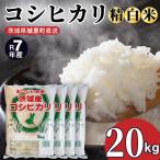 コシヒカリ 精米 20kg