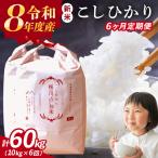 全6回 定期便 こしひかり 10kg