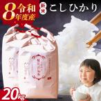 こしひかり 20kg