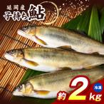子持ち鮎約2kg N070-YB728-2