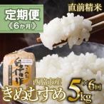 白米5kg 6か月連続お届け 新米 2025年産