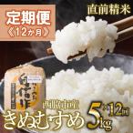 白米5kg 12か月連続お届け 新米 2025年産