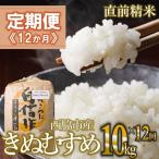 白米10kg 12か月連続お届け 新米 2025年産